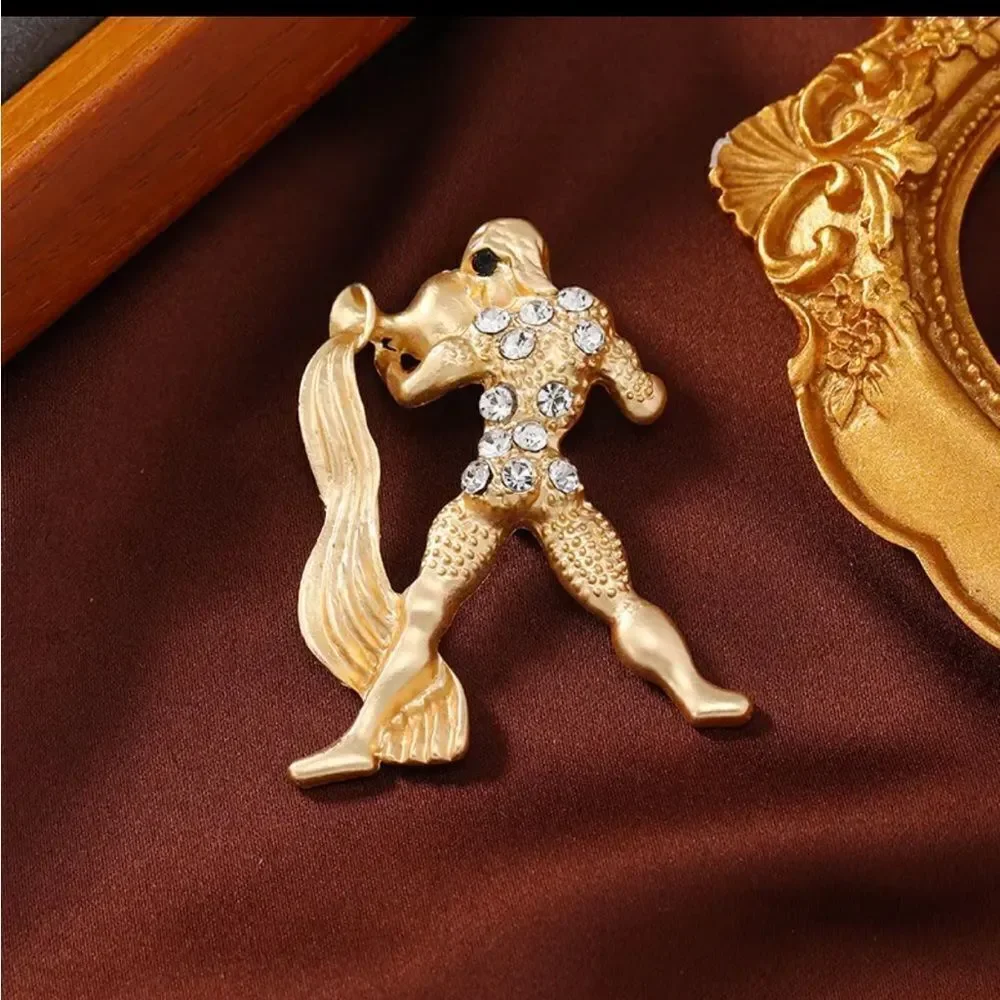 ZODIAC BROOCHES‎
